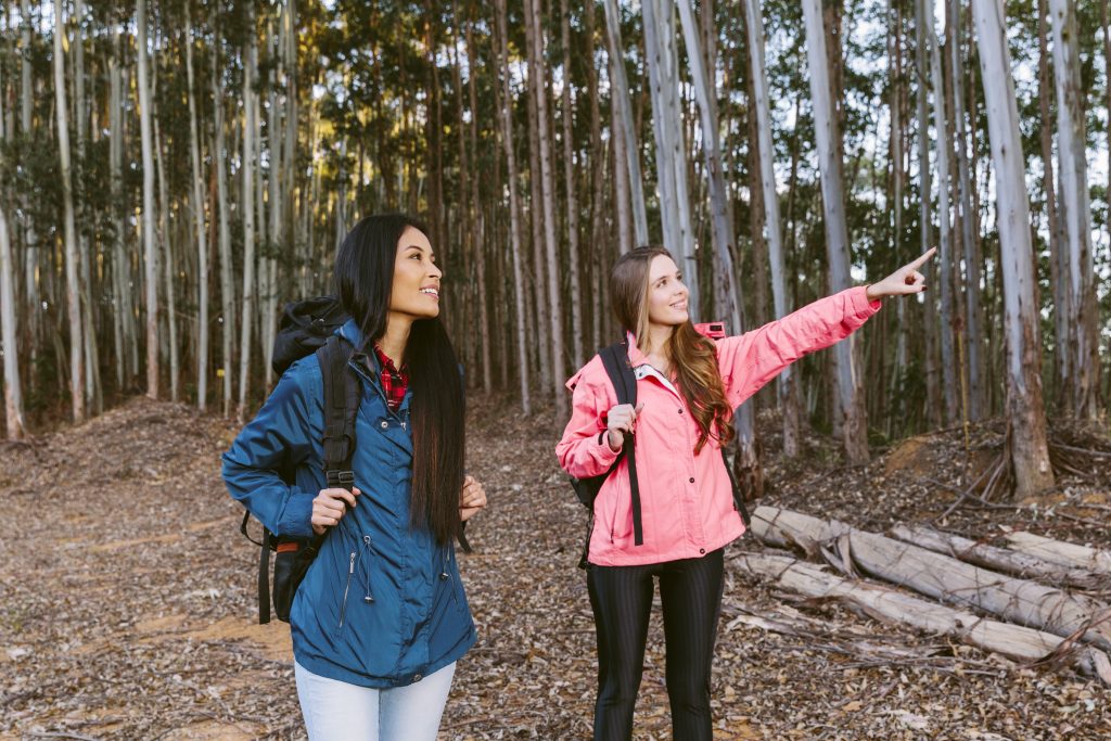 Изображение от <a href="https://ru.freepik.com/free-photo/young-female-hiker-showing-something-to-her-friend-in-forest_2586723.htm#query=%D0%BF%D1%80%D0%BE%D0%B3%D1%83%D0%BB%D0%BA%D0%B0%20%D0%BF%D0%BE%20%D0%BB%D0%B5%D1%81%D1%83&position=18&from_view=keyword&track=ais&uuid=0f5b26ac-bba7-4460-a434-242c8c743118">Freepik</a>